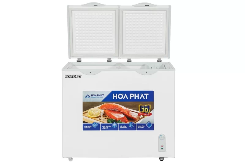 Tủ đông Hòa Phát 205 lít HPF BD6205