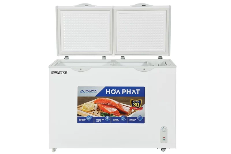 Tủ đông Hòa Phát 245 lít HPF BD6245