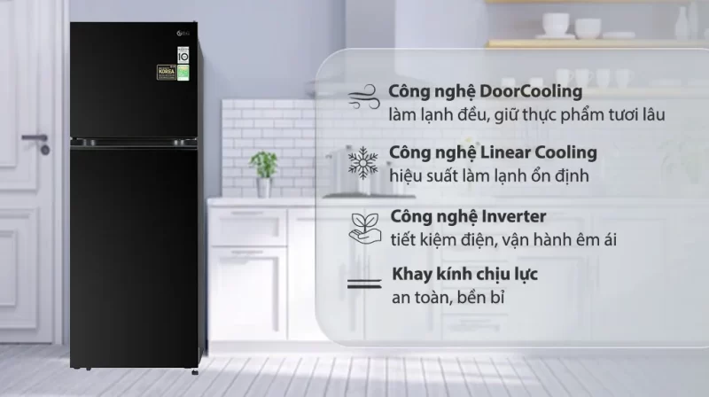 Tủ lạnh LG Inverter 315 lít GN-M312BL (2 cánh)