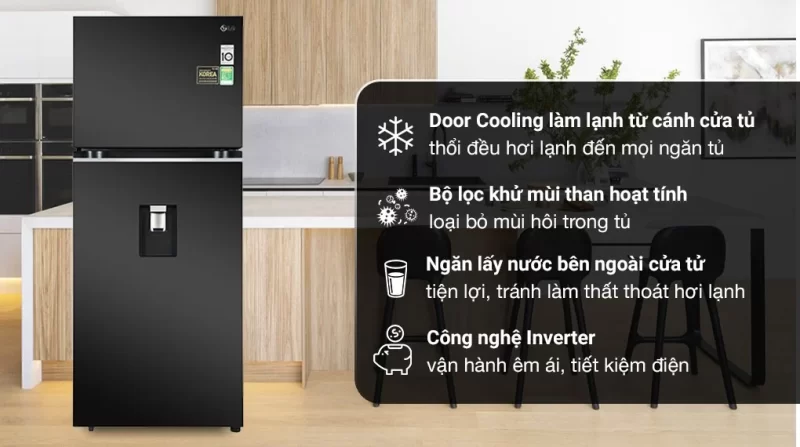 Tủ lạnh LG Inverter 374 lít GN-D372BL (2 cánh)