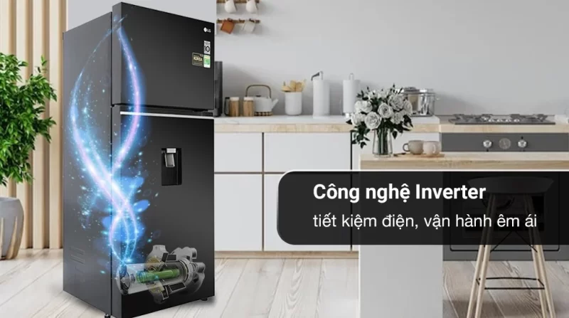 Tủ lạnh LG Inverter 374 lít GN-D372BL (2 cánh)