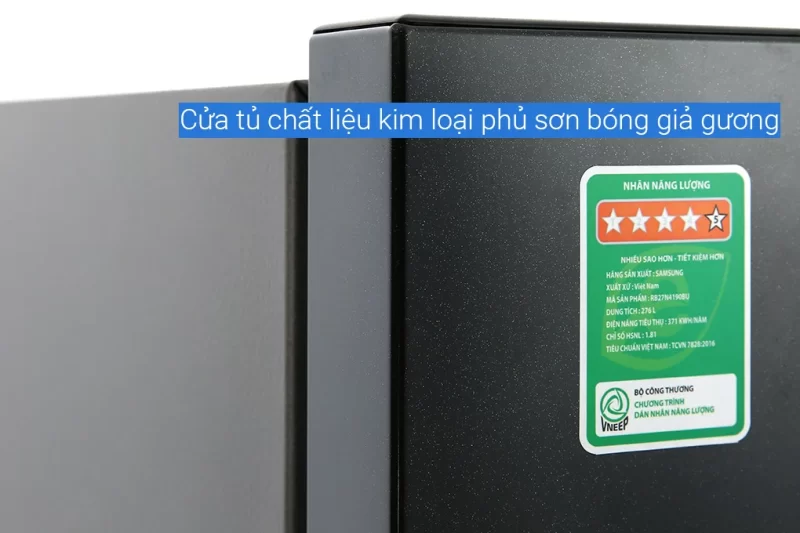 Tủ lạnh Samsung Inverter 307 lít RB30N4190BU/SV (2 cánh)