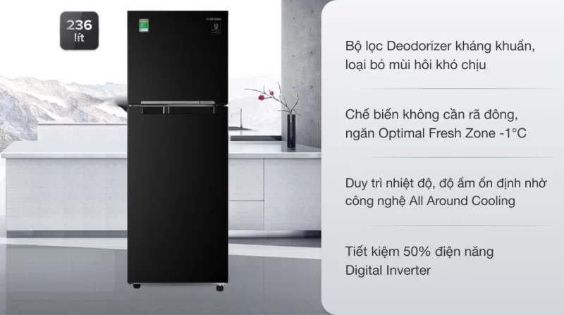 Tủ lạnh Samsung Inverter 236 lít RT22M4032BU/SV (2 cánh)